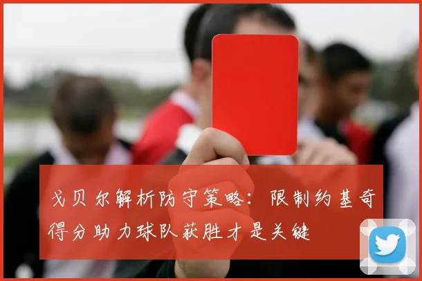 戈贝尔解析防守策略：限制约基奇得分助力球队获胜才是关键